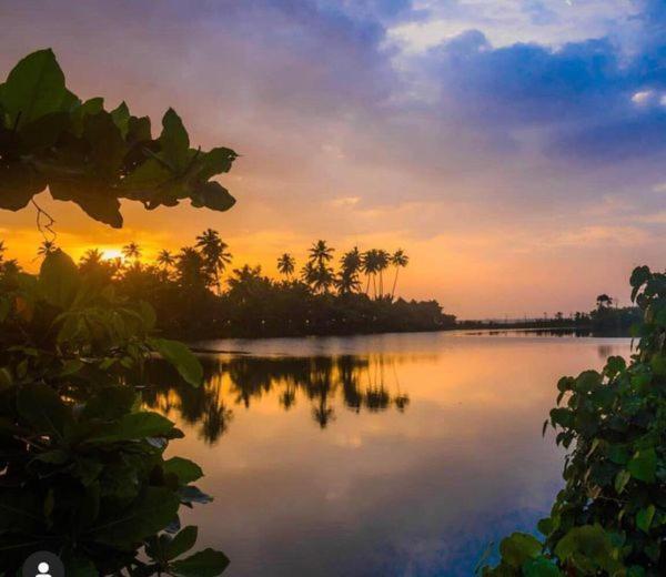 Turtle Paradise Villa Kosgoda Exterior foto